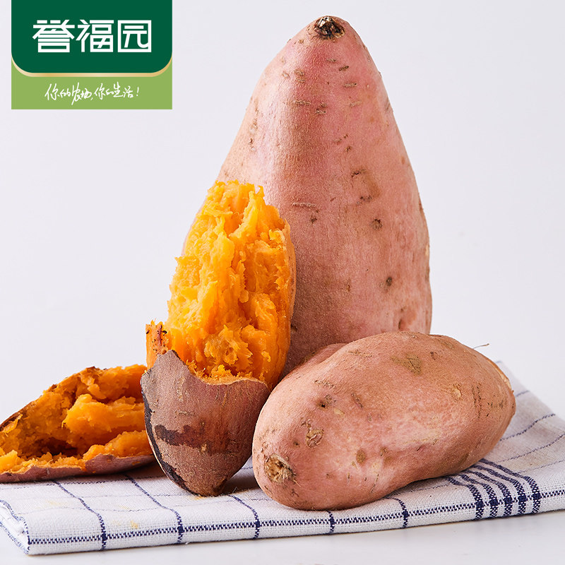  誉福园番薯
