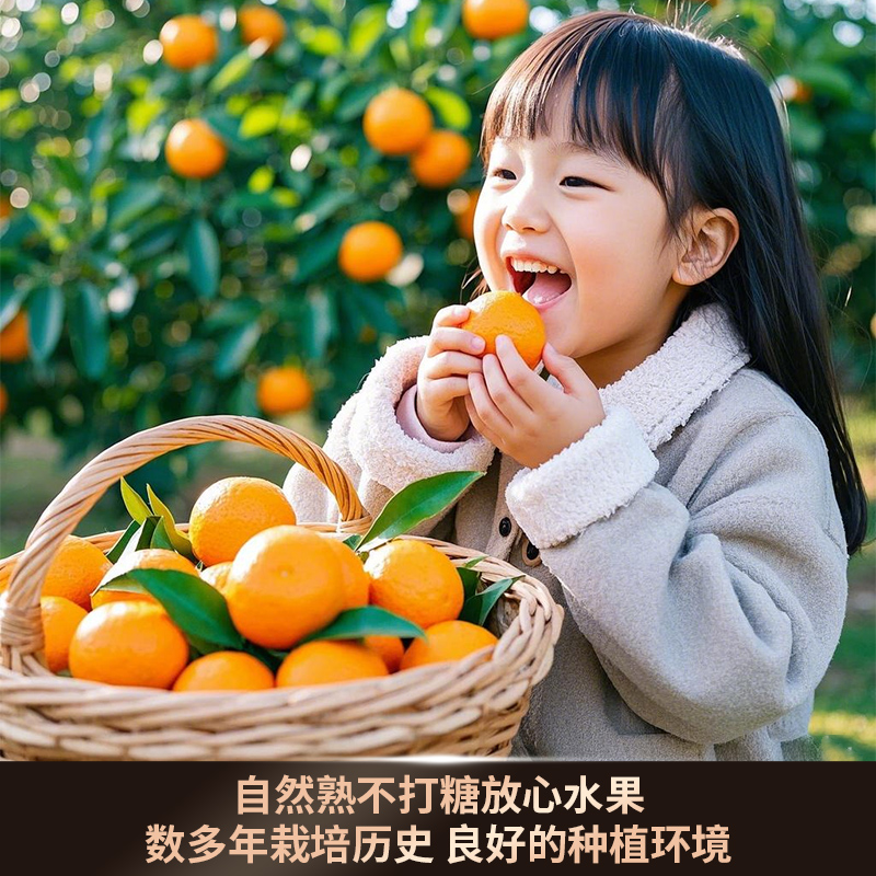 正宗广西砂糖橘10水果新鲜当季橘子整箱斤纯甜金秋沙糖桔非无籽