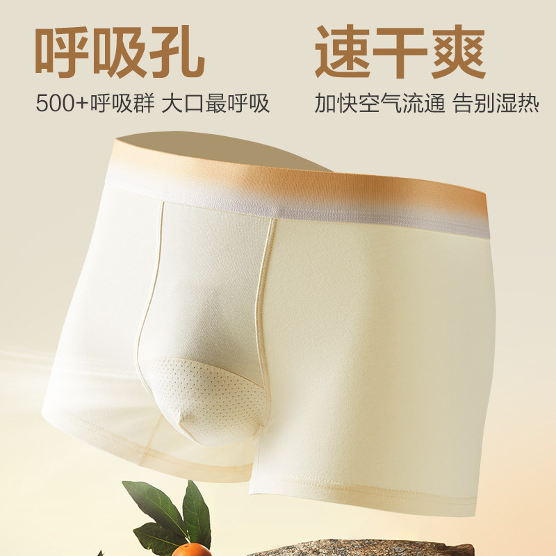 恒源祥男士内裤纯棉抗菌夏季网眼透气男生四角裤衩薄款平角短裤头,淘宝优惠券,粉丝福利购,淘宝优惠卷