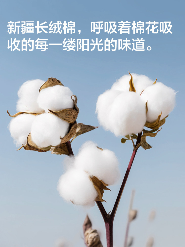 恒源祥男士内裤纯棉男生平角裤夏季薄款透气大码四角抗菌裆短裤头,淘宝优惠券,粉丝福利购,淘宝优惠卷