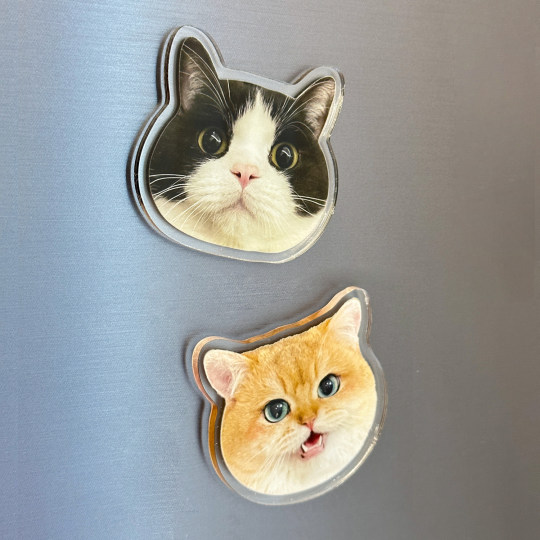 Acrylic refrigerator magnets customized with photos of pets, kittens and dogs, three-dimensional high-end healing magnet stickers customized