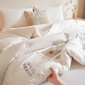 原棉大豆纤维丨高端被子春秋加厚冬被芯四季通用保暖可裸睡-1