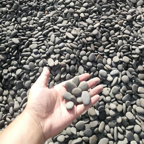 黑色砾石灰色碎石庭院造景铺面小石子瓜子片水洗石日式枯山水按吨 - 图3