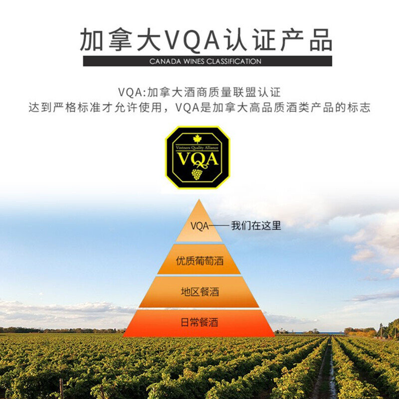 VQA加拿大冰酒原瓶进口威代尔vidal晚收甜葡萄酒冰白低度微醺果酒 - 图1