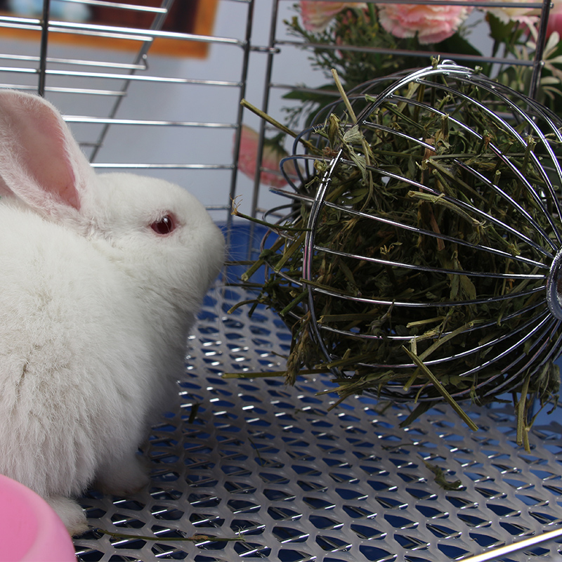 兔子草架龙猫荷兰猪草球兔草架包邮仓宠物用品玩具不锈钢食盆用品 - 图0