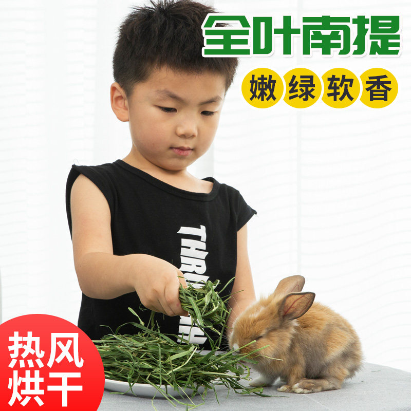提摩西干草500g兔兔粮食特级兔子草粮牧草荷兰猪饲料龙猫干草,淘宝优惠券,粉丝福利购,淘宝优惠卷