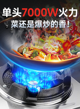 志高商用猛火单灶台嵌两用燃气灶