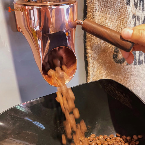 Barcafe 咖啡豆储物罐密封保存展示架储豆罐大容量杂粮壁挂展示架 - 图1