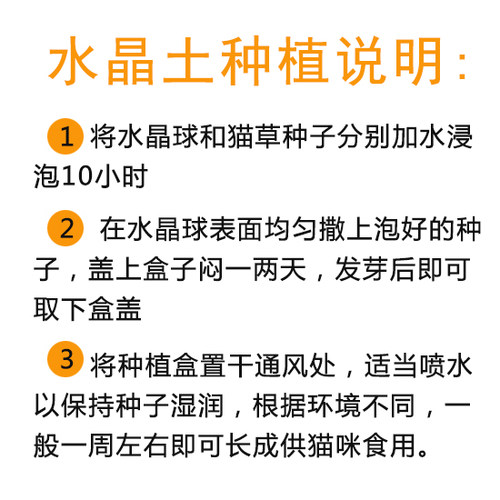 有机猫草种子 大麦草 500克1万粒以上去毛球助消化买二送一 包邮 - 图2