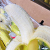 Ecuadorian bananas, fresh imported fruits in season
