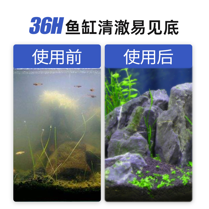 硝化细菌鱼缸专用胶囊净水活菌干粉养鱼鱼药水族消化细菌鱼用水族 - 图0