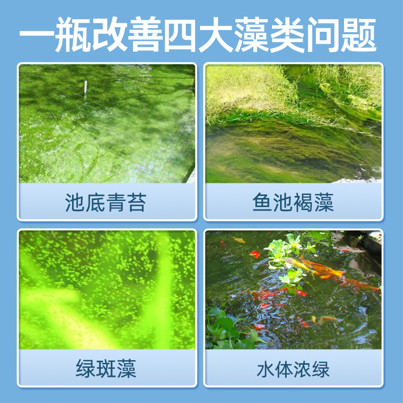 鱼池除藻剂青苔清除剂一次净神器鱼缸除藻去苔剂绿水蓝褐丝藻黑藻-图0