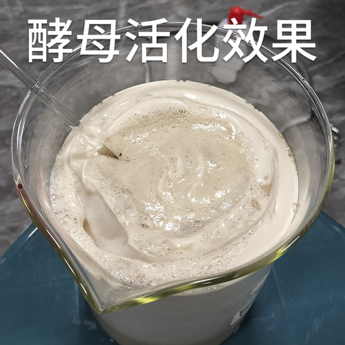 葡萄酒酿酒酵母 家庭自酿酒进口水果酵母菌酿葡萄草莓桑葚樱桃CR1 - 图1