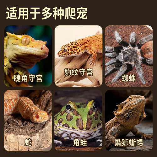 酷克爬虫守宫蜥蜴陶瓷食盆防逃爬宠鬃狮蜘蛛饲养箱活虫杜比亚食碗 - 图2