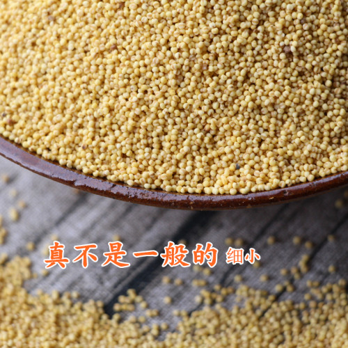贵州糯小米老品种小黄米 贵州小米渣原料五谷杂粮月子米新米 500g - 图2