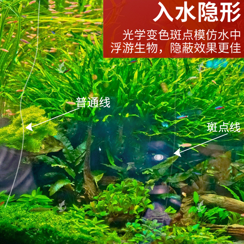 斑点隐形主线组钓鱼线套装全套台钓正品超强拉力绑好渔具成品鲫鱼,淘宝优惠券,粉丝福利购,淘宝优惠卷