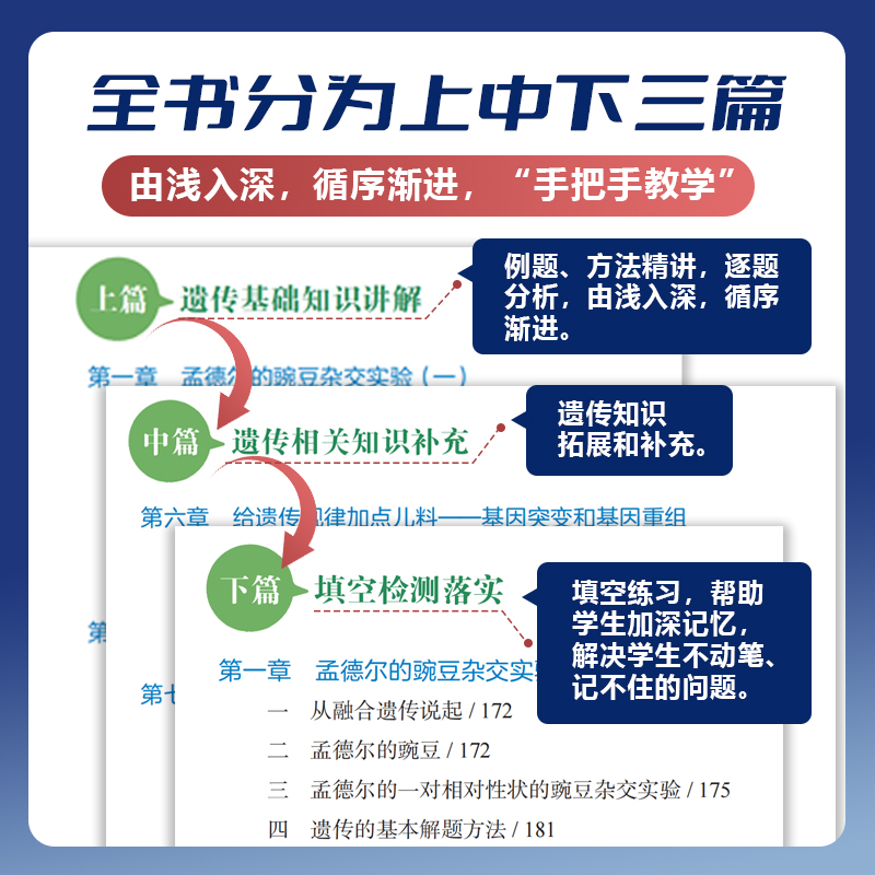 2024汉水丑生高中生物基础知识零基础学遗传大全手册汗水丑生高考生物一二轮复习育甲辅导网课视频刷题资料书知识新教材一本通用-图2