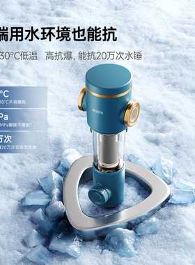 VASEN伟星前置过滤器12吨大流量