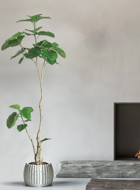 侘寂风网红大型仿真植物室内落地装饰盆栽心叶榕仿生假绿植摆件