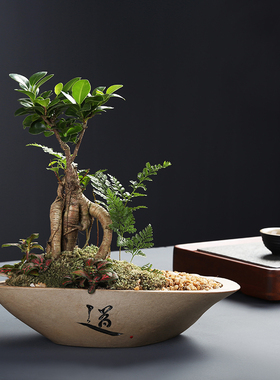 精品仿石头文竹花盆天然石头盆景长方形清仓包邮简约陶瓷多肉盆栽