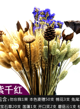 天然麦穗干花真花束开业大麦田园装饰摆件满天星稻穗拍摄道具礼品