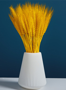 天然麦穗干花摆件开业花篮黄金大麦风干永生花束客厅玄关简约装饰