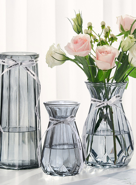 【三件套】网红玻璃花瓶 透明水培绿萝百合干花客厅插花摆件家用