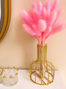 白色北欧粉色羽毛装饰兔尾草花瓶干花情人节摆件家居客厅摆设ins