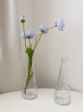 ins韩风水珠雨点状玻璃花瓶水培插花器 小清新桌面摆件家居装饰品