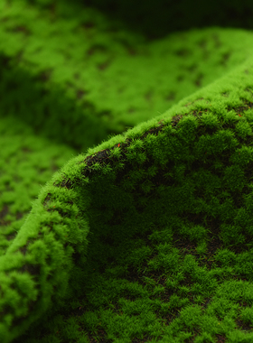 复古森系草坪草皮假苔藓绿色天然产品化妆品拍照道具摄影 背景布