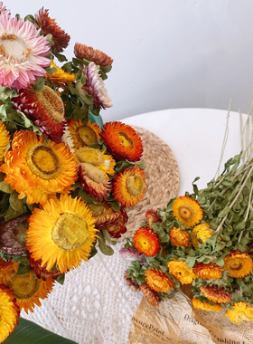 云南干花真花麦秆菊七彩菊小雏菊花束拍摄道具客厅家居装饰摆件