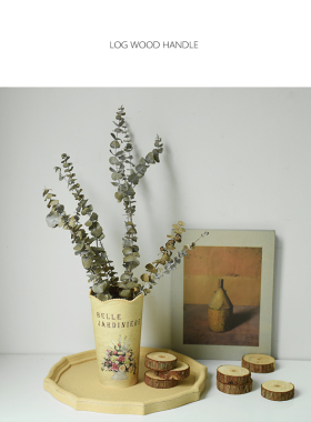 圆木块木头桩子DIY饰品摆饰网店摄影背景摆件淘宝拍照 拍照道具