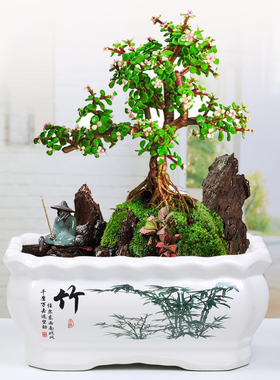 长方形花盆陶瓷创意个性特大号清仓特价带托盘家用绿萝多肉花盆