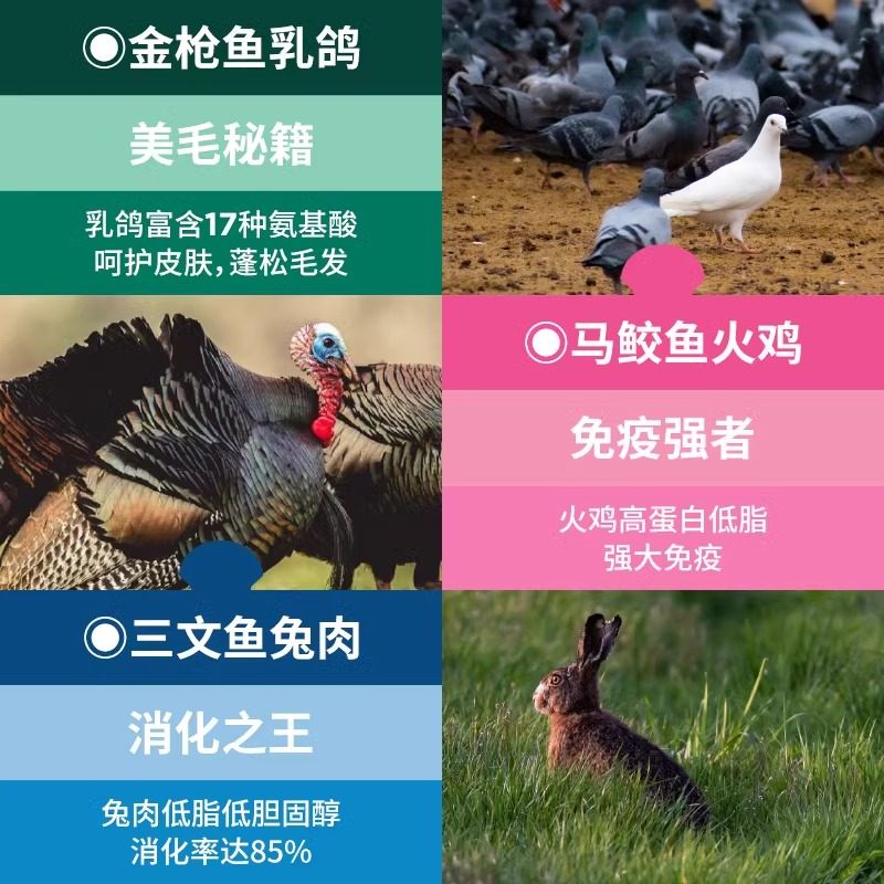 蓝氏猫粮全价主食餐包蒸鲜湿粮成猫幼猫猫饭主食猫条猫罐头非零食,淘宝优惠券,粉丝福利购,淘宝优惠卷