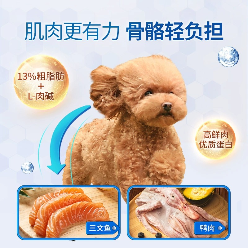 伯纳天纯狗粮2KG/10KG老年犬专用小型犬中大型犬粮泰迪贵宾金毛 - 图1