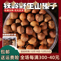 Hazelnut Northeastern special production of fresh iron Ridge Rod Nuts Wild opening Handmade Mountain Zhen Stir-fried Cooked top Hazelnut