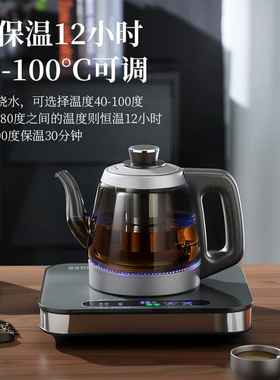 纯钛烟灰色全自动上水电热水壶