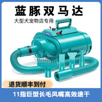 Blue Dolphin double motor Pet Blow Machine Dog High Power Small Large Dog Special Blow Hair God Blow Dryer