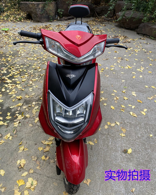 Lingpai Super Eagle ແກະຊິ້ນສ່ວນພາດສະຕິກແລະພາກສ່ວນ painted Xunying