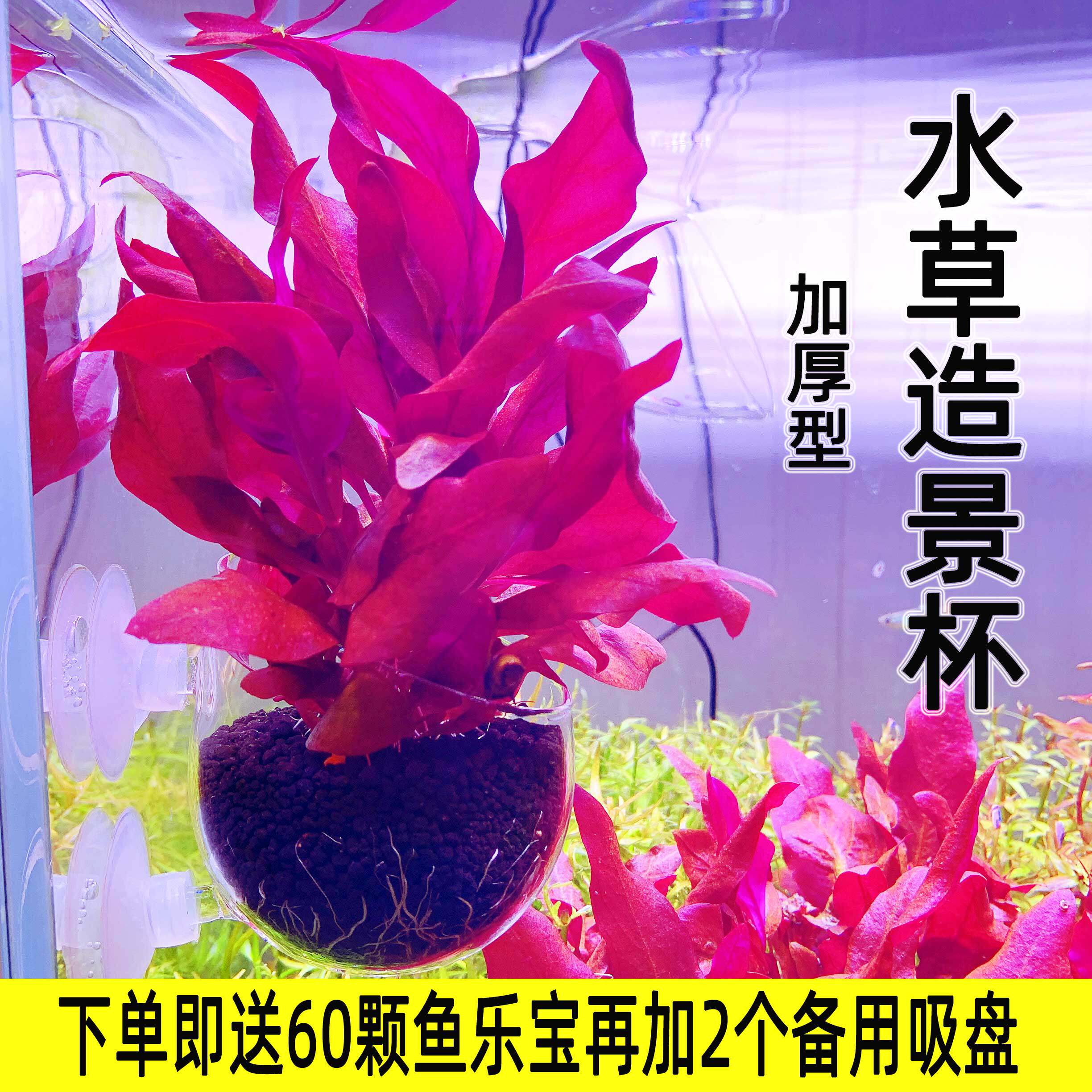 水草种植造景盆 新人首单立减十元 21年7月 淘宝海外