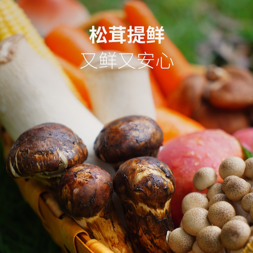 清心湖松鲜鲜松茸调味料代替鸡精菌菇松茸果蔬粉纯素调味品瓶袋装 - 图0