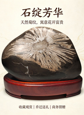 浏阳天然金线菊奇石摆件