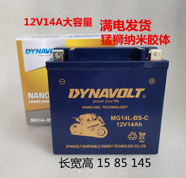 摩托车电瓶YTX14-BS蓄电池12V14A宝马1200 哈雷883 正品猛狮 - 图0