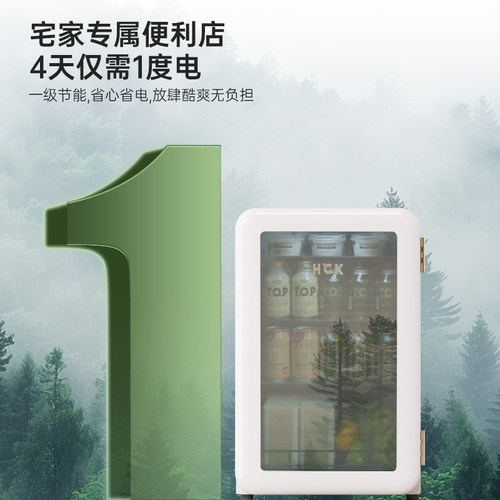 HCK哈士奇小冰吧透明冷藏柜家用客厅办公室饮料茶叶小型复古冰箱 - 图3