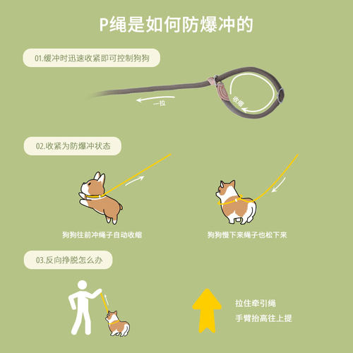 狗狗绳子防爆冲P链柯基牵引绳项圈中大型犬狗链防挣脱溜遛狗绳子 - 图0