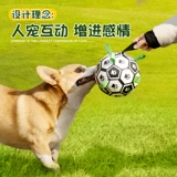 Собачьи игрушечные шарики, чтобы укусить артефакт, большие собаки, нечистый собачий мяч, футбол, домашние животные золотистого ретривера потребляют физическую силу лабрадо