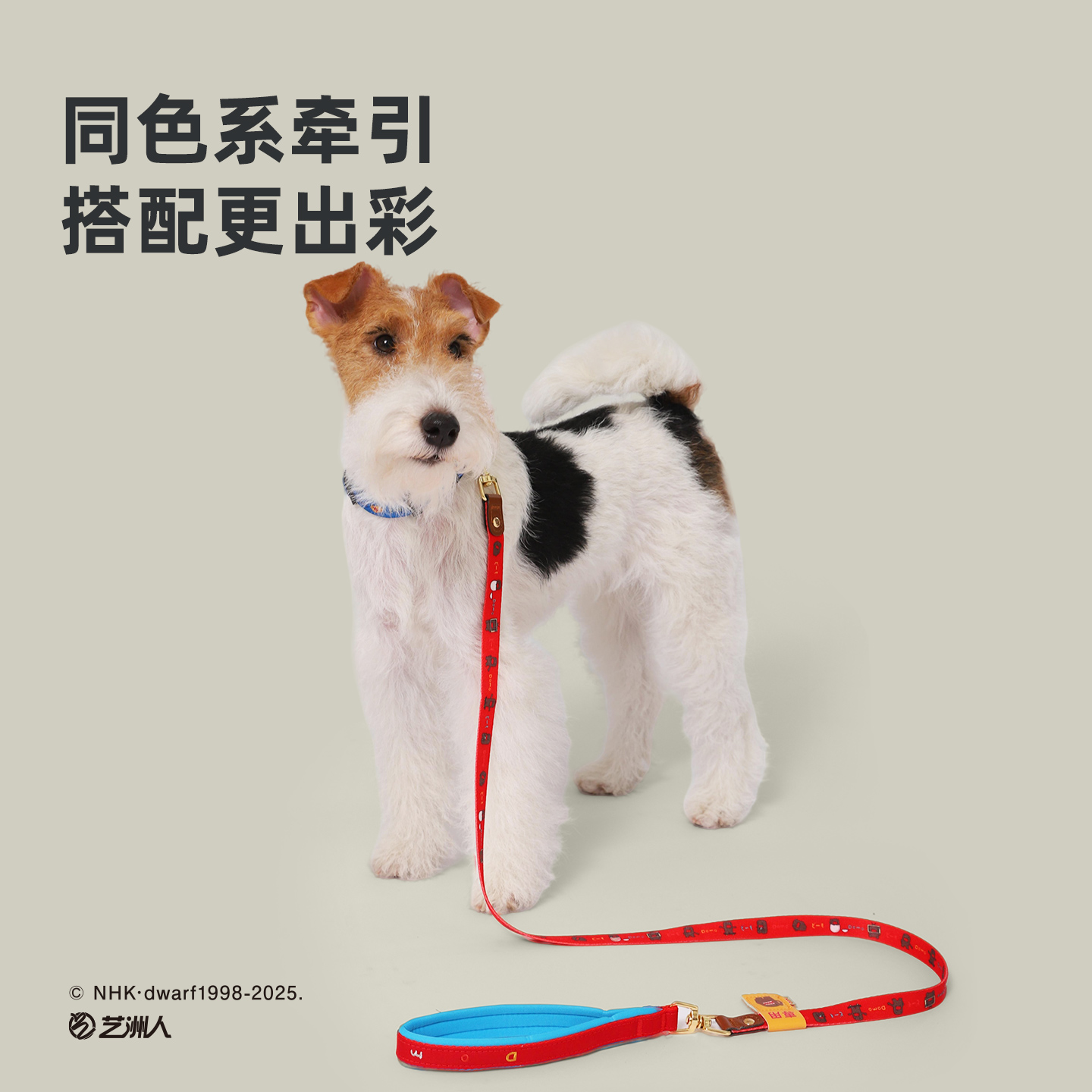 Hoopet × 多摩君联名 宠物小猫小型犬脖圈不勒脖颈圈狗狗项圈 - 图1