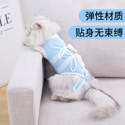 猫咪手术服母猫绝育服术后服伊丽莎白圈透气防舔断奶轻薄防掉毛 虎窝淘