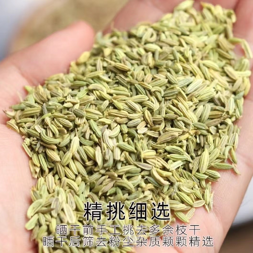 小茴香 新货甘肃茴香八角桂皮家用调料包香辛料增香火锅底料卤料 - 图0