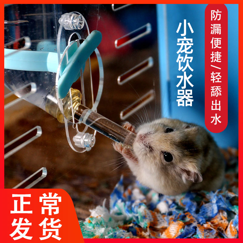 仓鼠水壶饮水器金丝熊喝水器喂水瓶龙猫兔子水樽防漏滚珠支架用品 - 图2